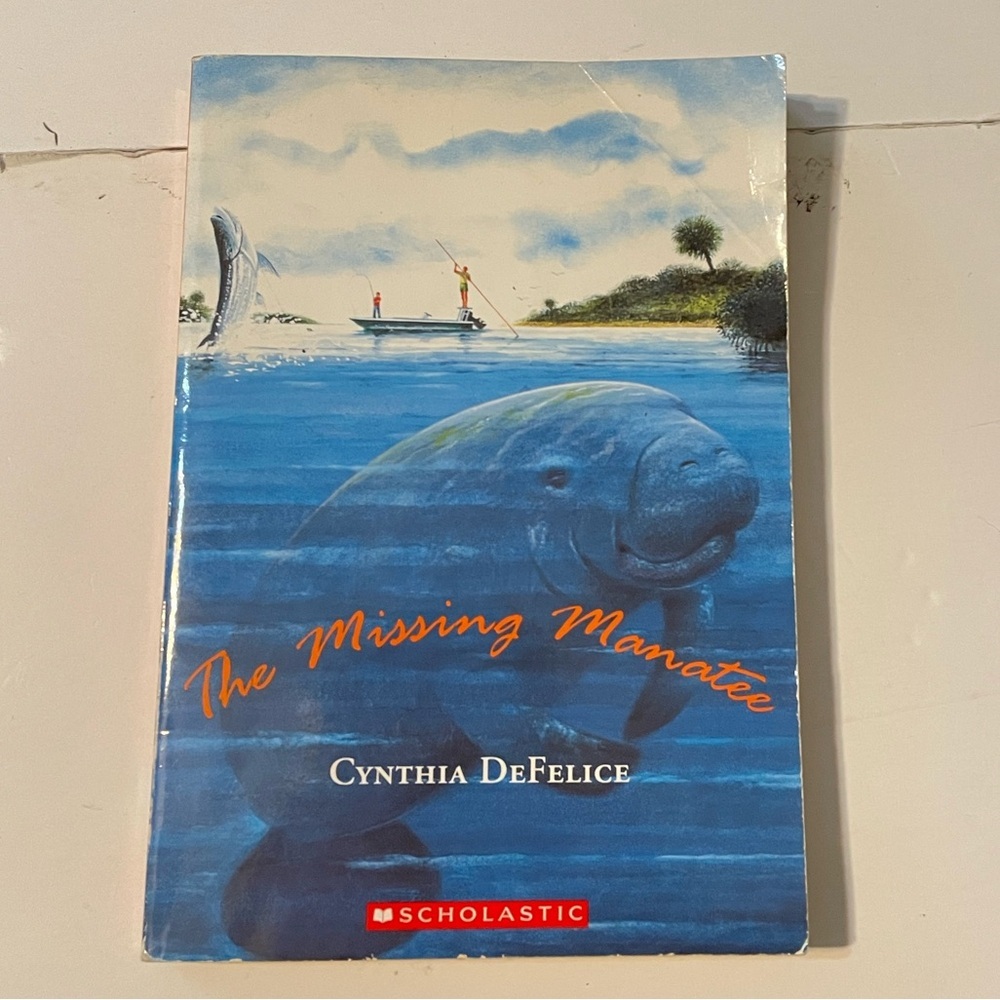 Scholastic The Missing Manatee: A Mystery About Fishing and Family